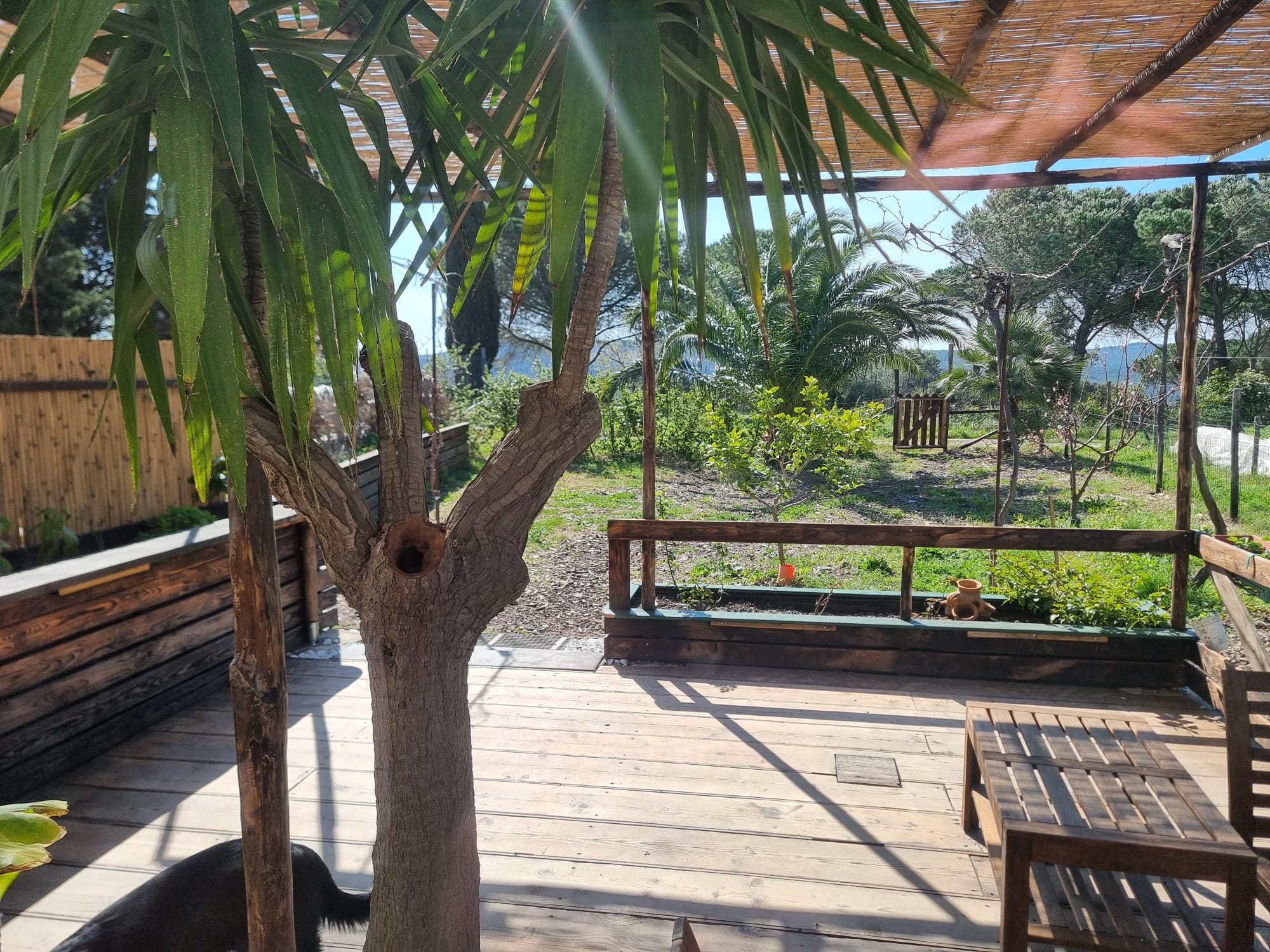 Colline livornesi sentieri