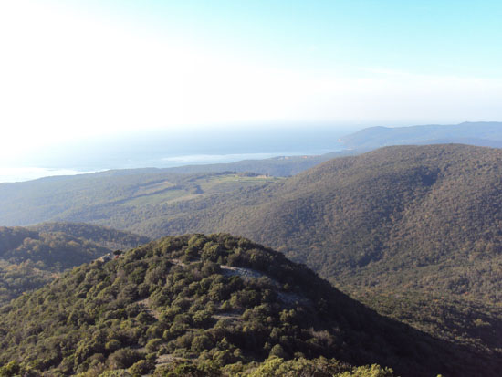 Panorama del Parco dei Monti Livornesi